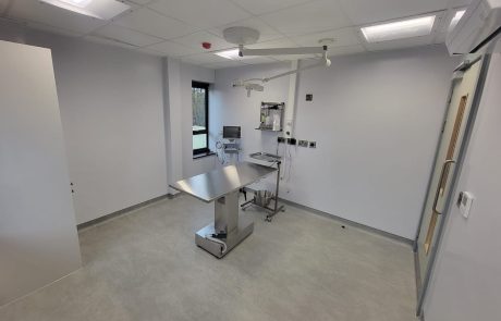 Veterinary Surgery, Newbury