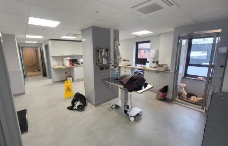 Veterinary Surgery, Newbury