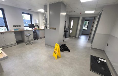 Veterinary Surgery, Newbury