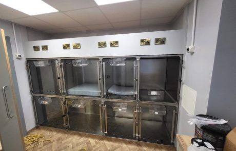 Veterinary Surgery, Newbury