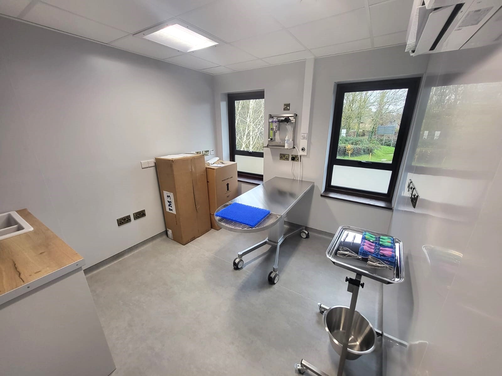 Veterinary Surgery, Newbury